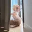 Kのプロフィール画像