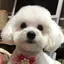 Reiのプロフィール画像