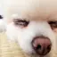 なっちゃんのプロフィール画像