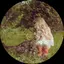 さおりぃぬのプロフィール画像