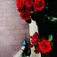 atnooanのプロフィール画像