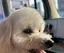 yukiのプロフィール画像