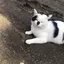 みのプロフィール画像