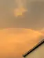 syuのプロフィール画像