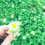 もっぴーのプロフィール画像