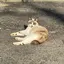 kayのプロフィール画像