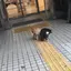 おはるのプロフィール画像