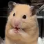 Yのプロフィール画像