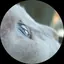 めぐみのプロフィール画像