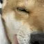 丸のプロフィール画像