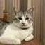 りさのプロフィール画像