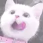 ykのプロフィール画像