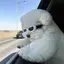 綺のプロフィール画像