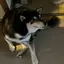 kのプロフィール画像