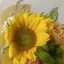 まつのプロフィール画像