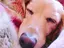 mのプロフィール画像