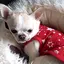 rieのプロフィール画像