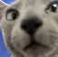 nonのプロフィール画像