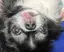 りのプロフィール画像