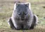 ふくろうのプロフィール画像