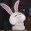 スノーボールのプロフィール画像