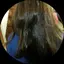 唯のプロフィール画像