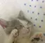 まりなのプロフィール画像