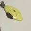 ゆのプロフィール画像