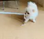 ミカンのプロフィール画像