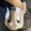 川栗のプロフィール画像