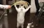 mikiのプロフィール画像