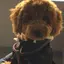 あつみのプロフィール画像