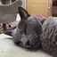 えるものプロフィール画像