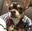 ALOHAのプロフィール画像