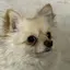 Myのプロフィール画像