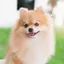 奈緒のプロフィール画像