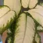 mamaのプロフィール画像