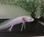 junのプロフィール画像