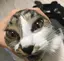 22toyouのプロフィール画像
