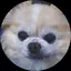 尚子のプロフィール画像