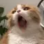 ...mのプロフィール画像