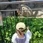 真由美のプロフィール画像