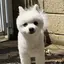 愛里のプロフィール画像