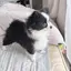 こんののプロフィール画像