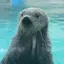 華蓮のプロフィール画像