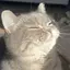 そらのプロフィール画像