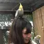 Aoiのプロフィール画像