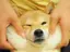 わたみゆのプロフィール画像