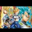 ベジータのプロフィール画像