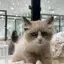 mmmのプロフィール画像